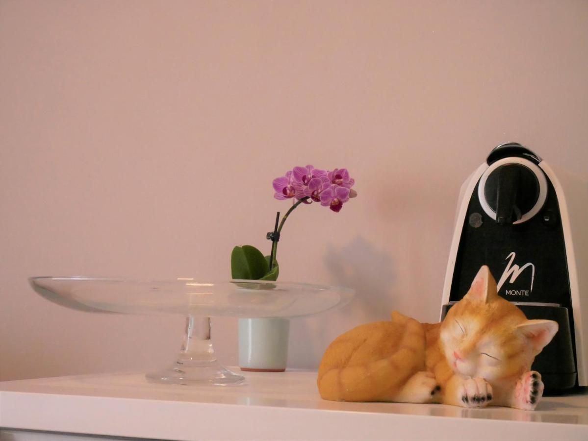Apartments Kety Rovinj Dış mekan fotoğraf